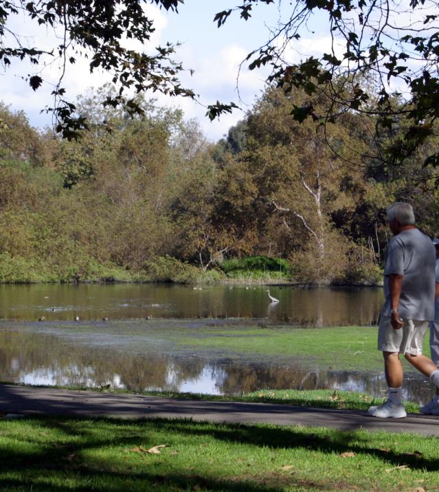 Central Park