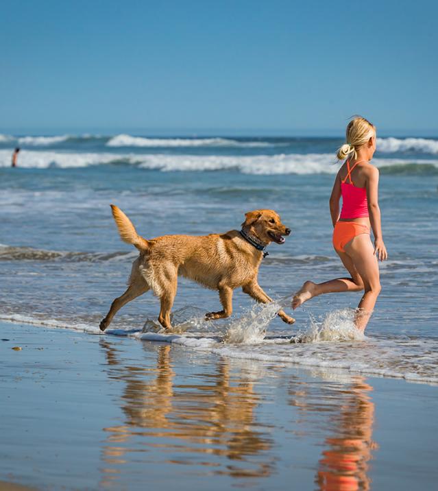 Huntington Dog Beach | Beaches in Huntington Beach