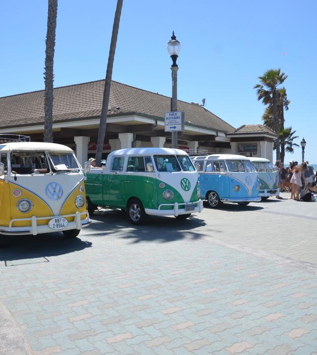 VW Bus Show