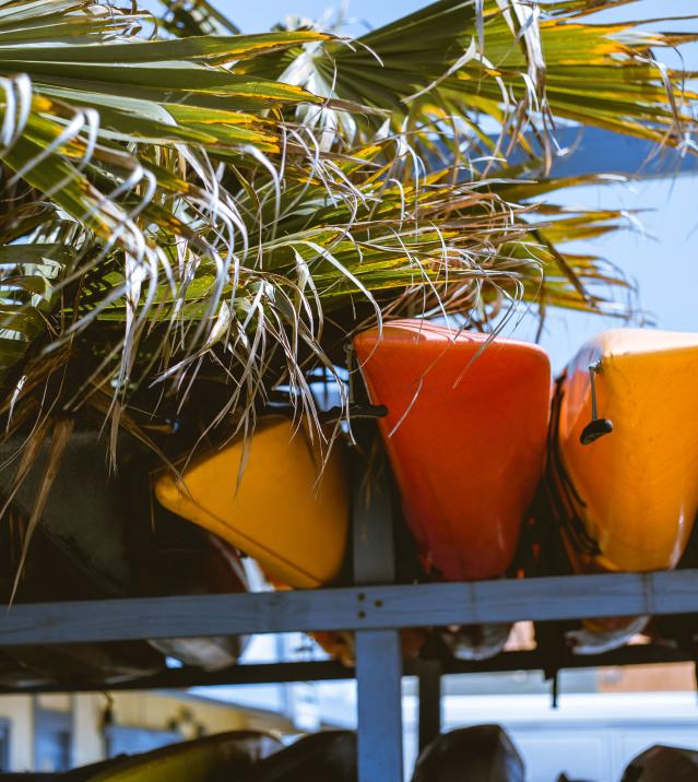Kayaking in the Huntington Harbour