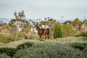 Horseback Riding in Huntington Beach