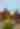 Horseback Riding Huntington Beach | Image of girl on a horse