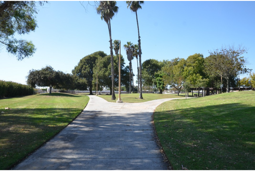 ImageMP00148