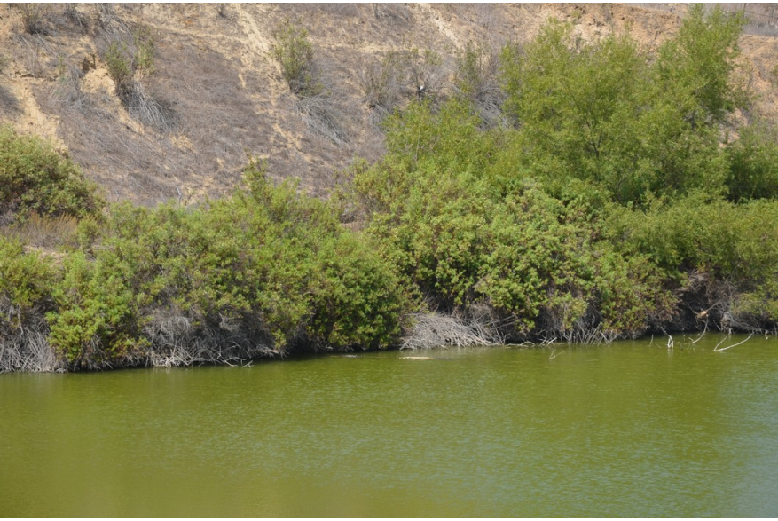 ImageSM00045