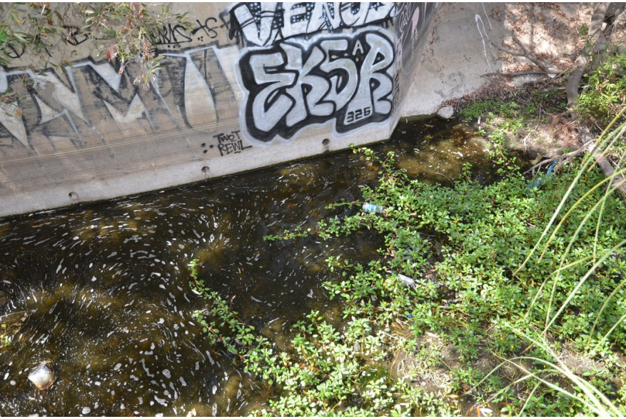ImageSM00054
