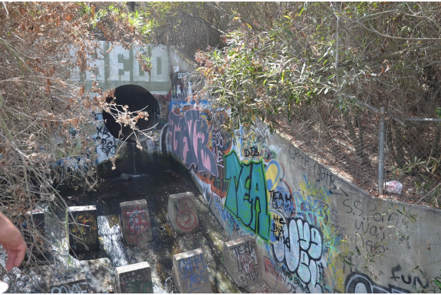 ImageSM00055