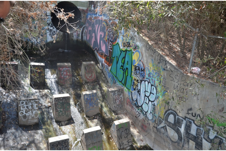 ImageSM00057