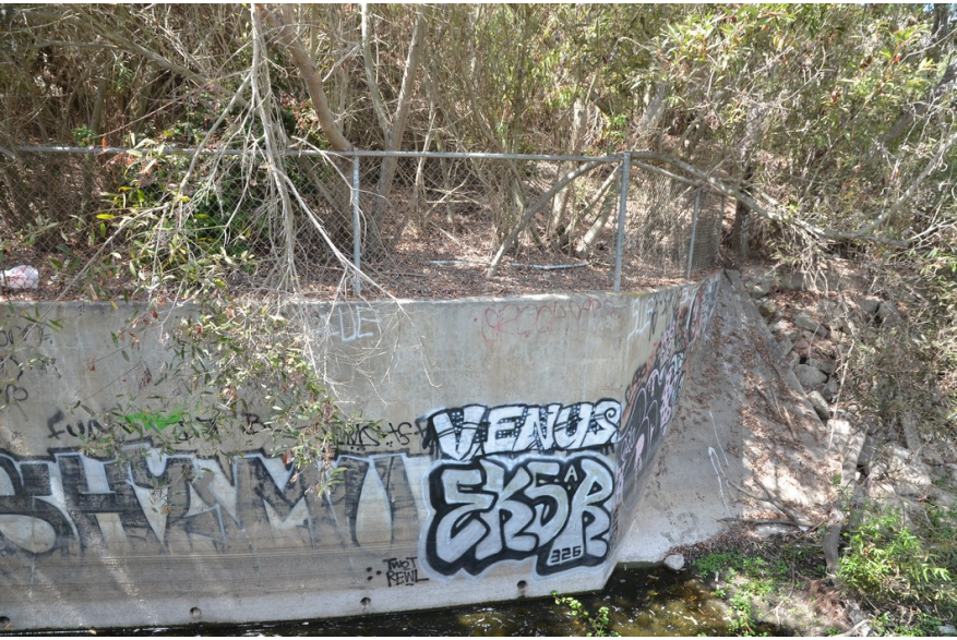 ImageSM00063