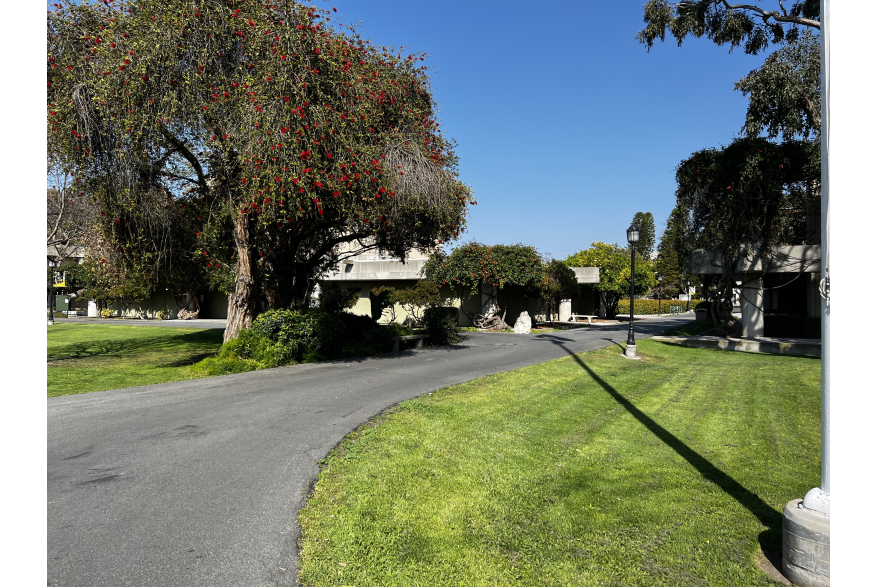 Pathway near the Quad