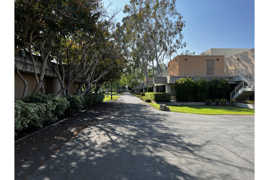 Near the Fine Arts building