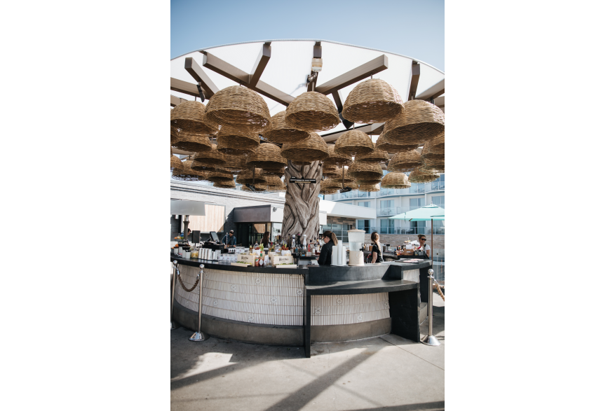 Paséa Tanner's Treehouse Lounge