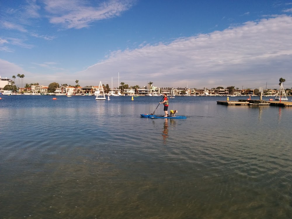 Kayaks On the Water